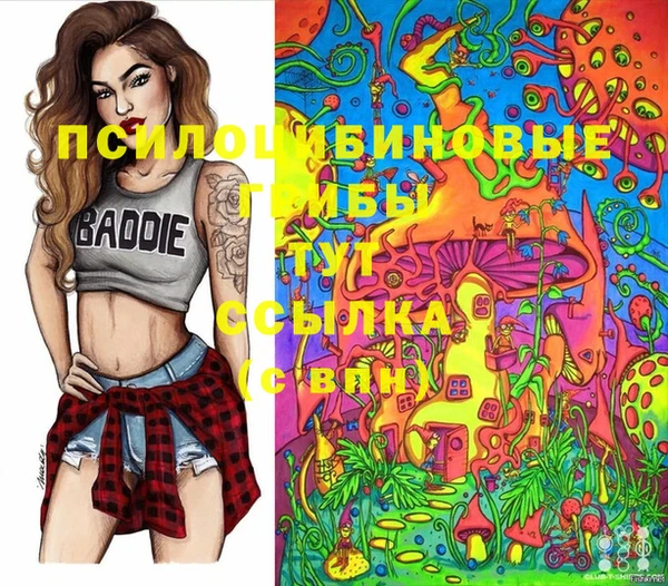 МДМА Алексеевка
