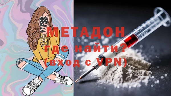 сатива Гатчина
